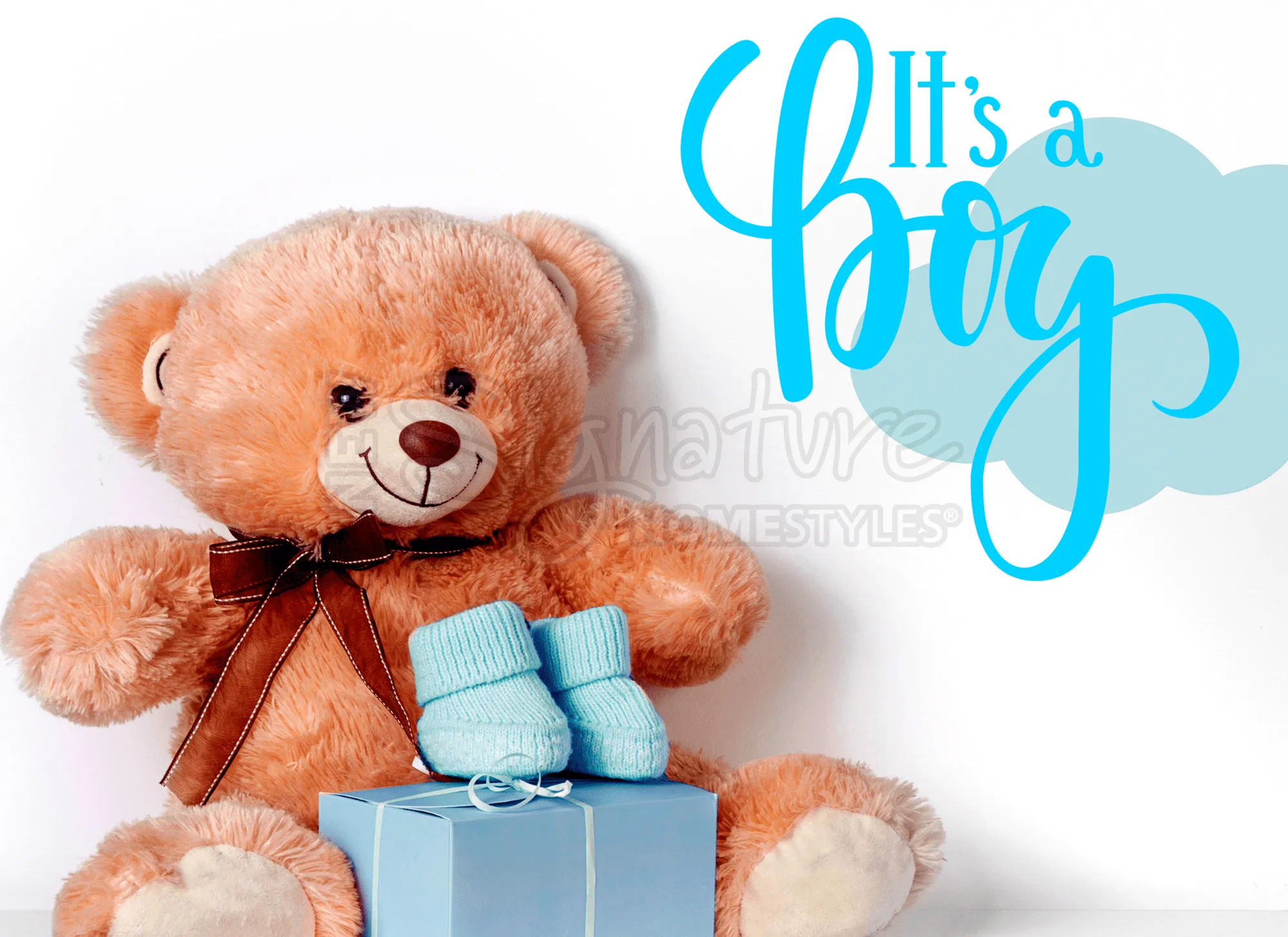 Bear It's A Boy Insert for use with Sparkle Glass ™ Accent Light
