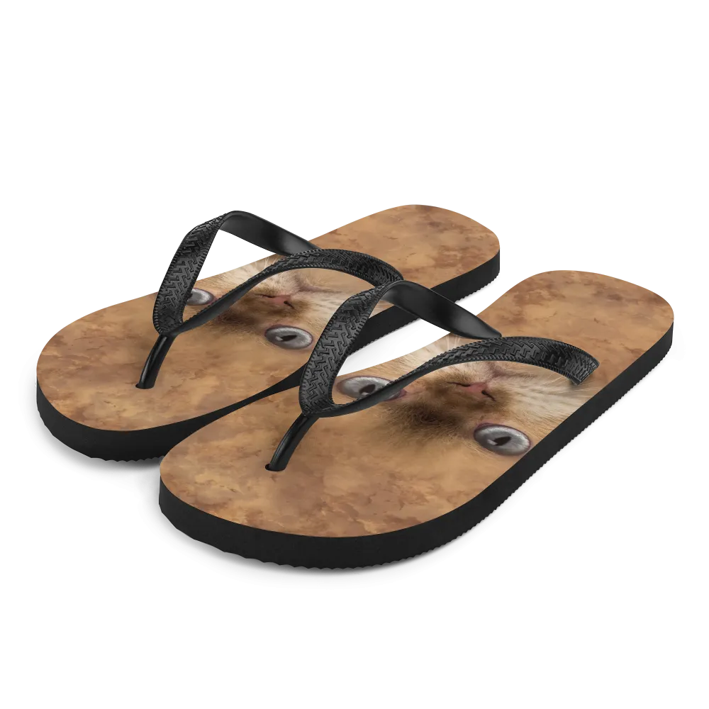 British Cat Flip-Flops