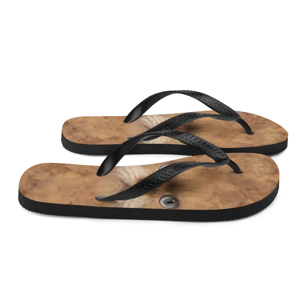 British Cat Flip-Flops