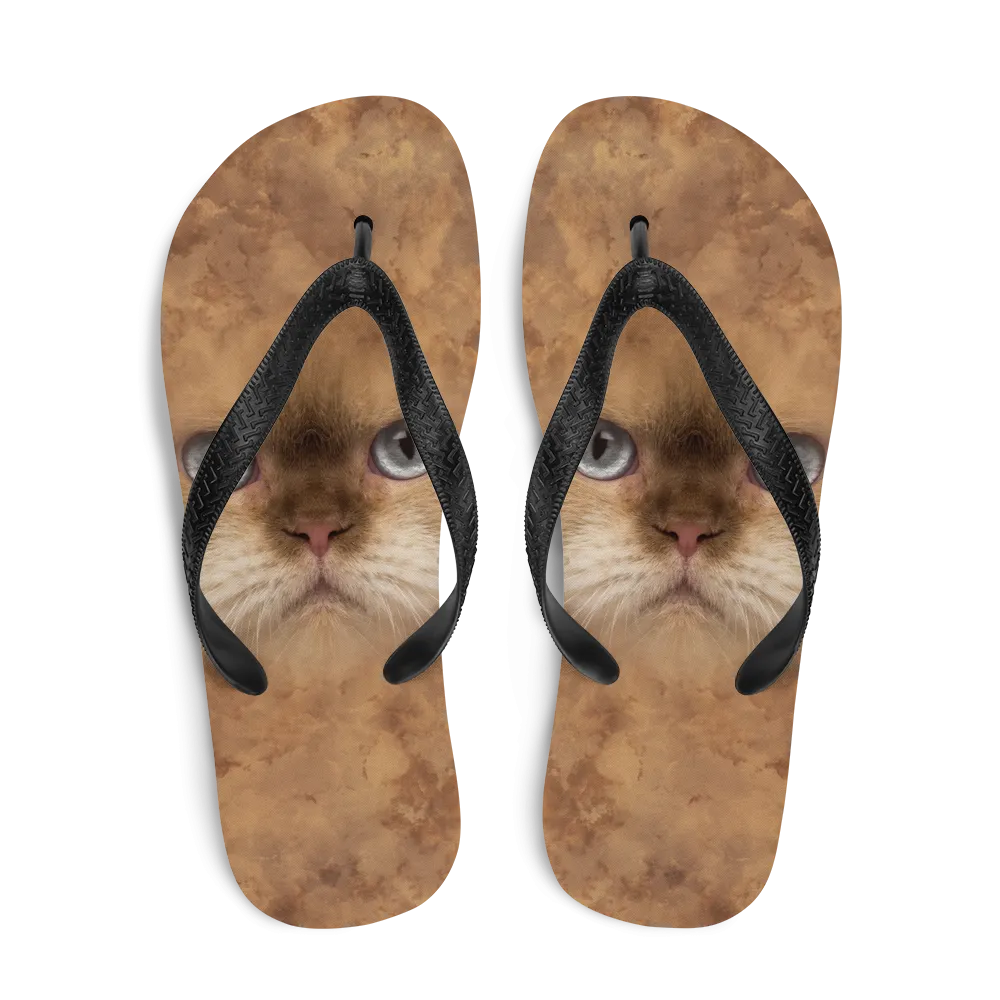 British Cat Flip-Flops