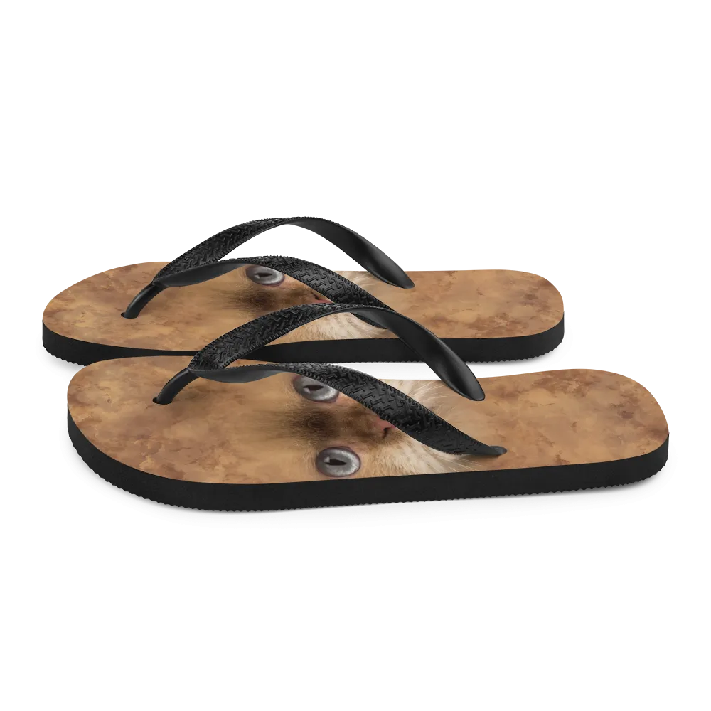 British Cat Flip-Flops