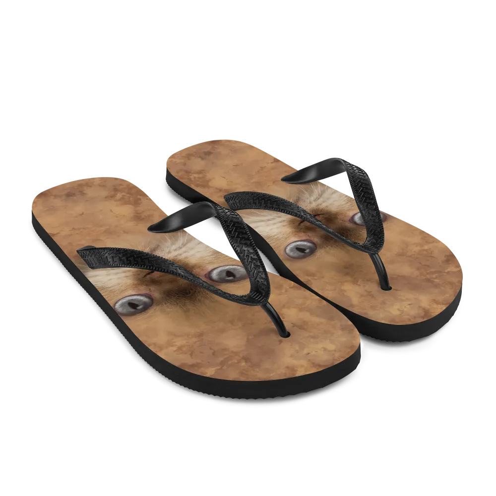 British Cat Flip-Flops