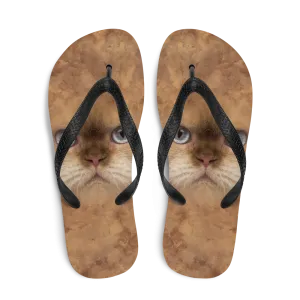 British Cat Flip-Flops