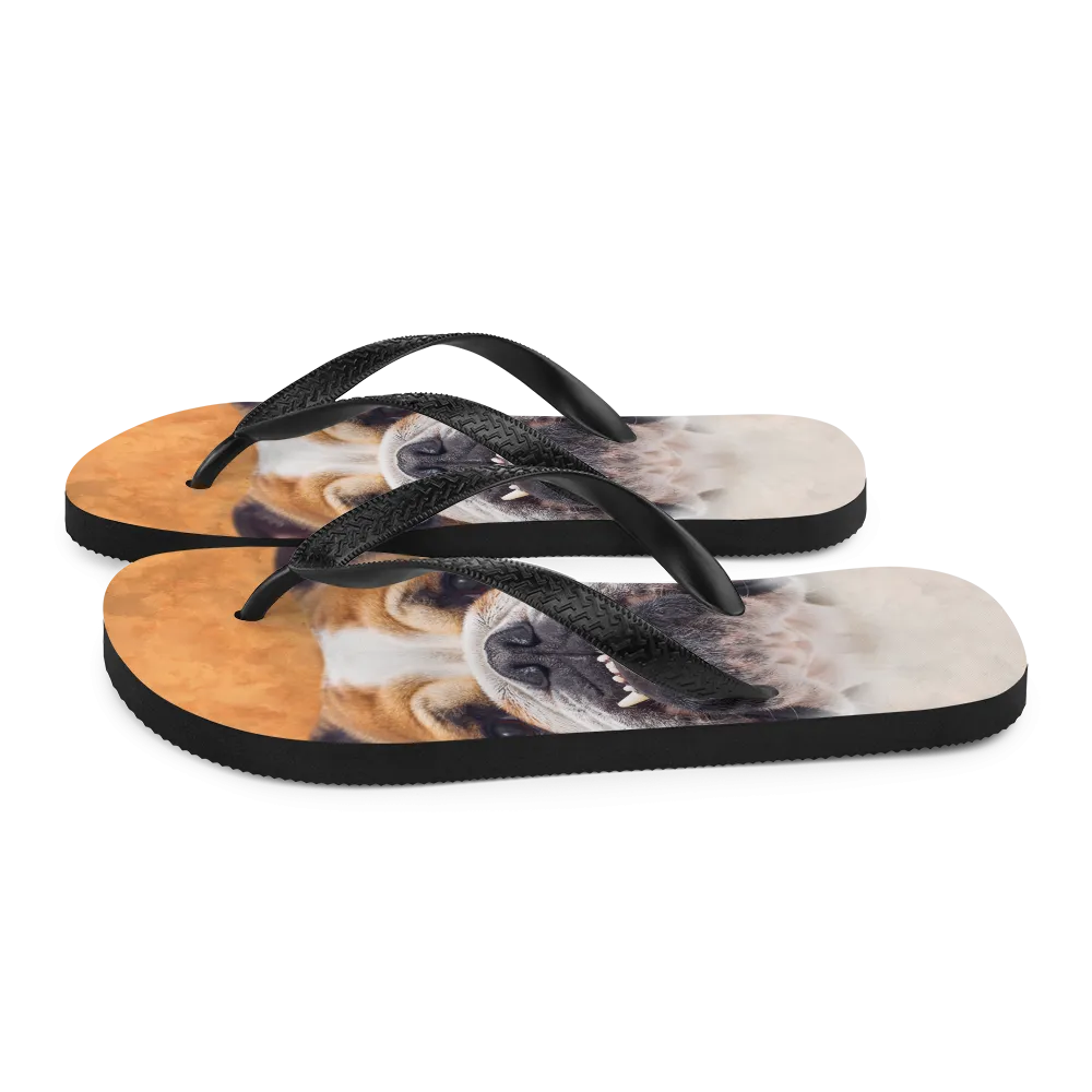 Bulldog Flip-Flops