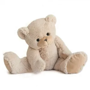 Ivory Teddy Bear Available in 6 Styles