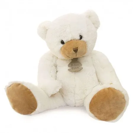 Ivory Teddy Bear Available in 6 Styles