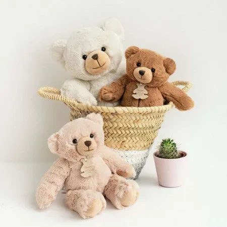 Ivory Teddy Bear Available in 6 Styles