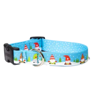 Sport Collar | Gnomes