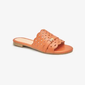 Trendy Women Chappals