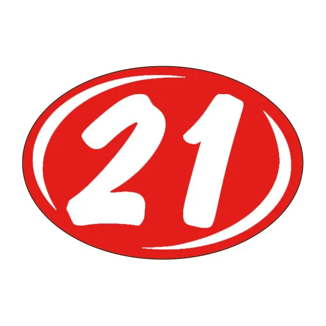 Window Stickers Vibrant White on Red - Durable, Weatherproof Vinyl with Easy On/Off Adhesive, Back Slit for Effortless Installation, Includes Smaller Rounds Year Stickers