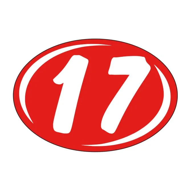Window Stickers Vibrant White on Red - Durable, Weatherproof Vinyl with Easy On/Off Adhesive, Back Slit for Effortless Installation, Includes Smaller Rounds Year Stickers