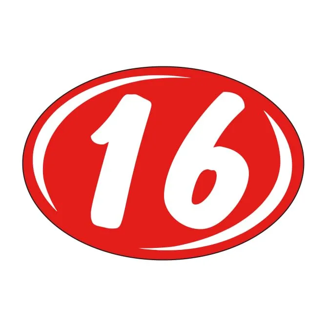 Window Stickers Vibrant White on Red - Durable, Weatherproof Vinyl with Easy On/Off Adhesive, Back Slit for Effortless Installation, Includes Smaller Rounds Year Stickers